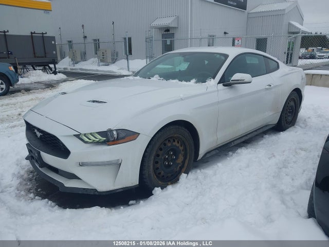 1FA6P8TH6J5149920 Ford Mustang