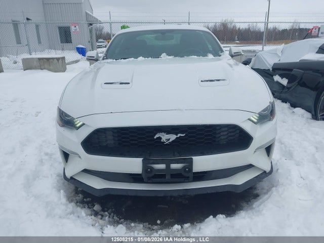 1FA6P8TH6J5149920 Ford Mustang