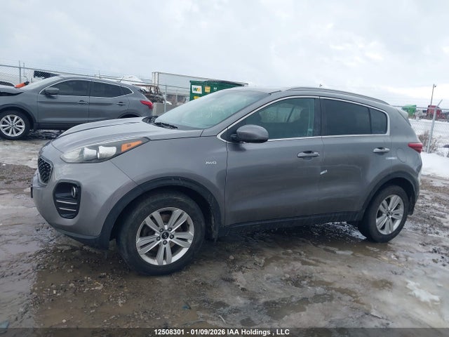 Продаж на аукціоні авто 2019 Kia Sportage Lx, vin: KNDPMCAC2K7545382, номер лоту: 12508301