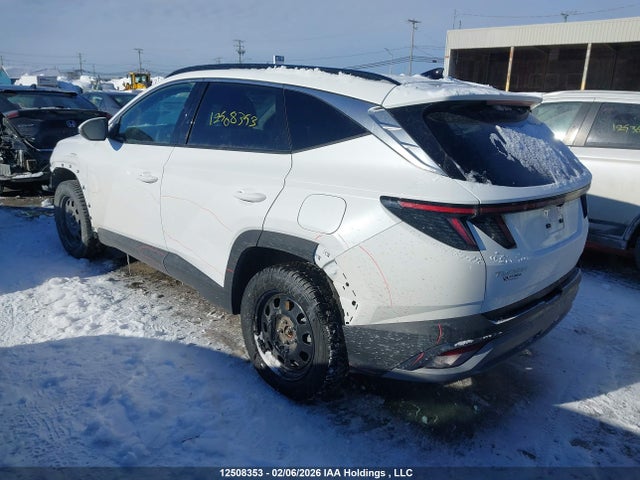 Hyundai Tucson Preferred Awd W/trend Package 2025 3KMJCCDE4SE028006 Image 3