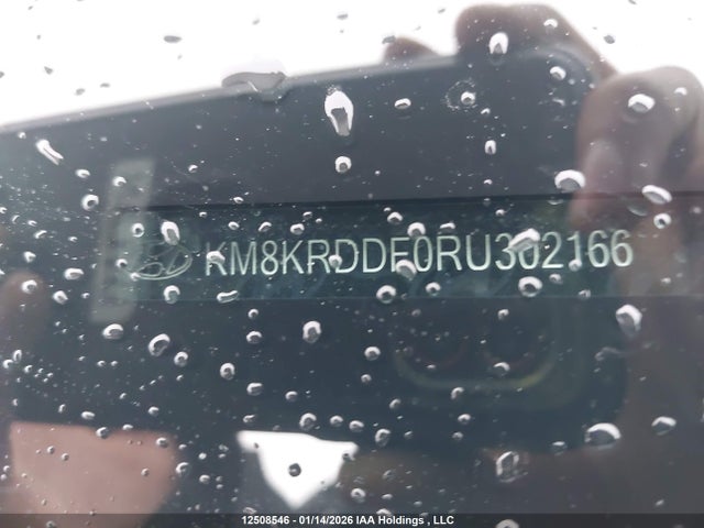 Продаж на аукціоні авто 2024 Hyundai Ioniq 5, vin: KM8KRDDF0RU302166, номер лоту: 12508546