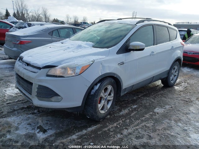 Продаж на аукціоні авто 2013 Ford Escape, vin: 1FMCU0GX2DUD26655, номер лоту: 12508591