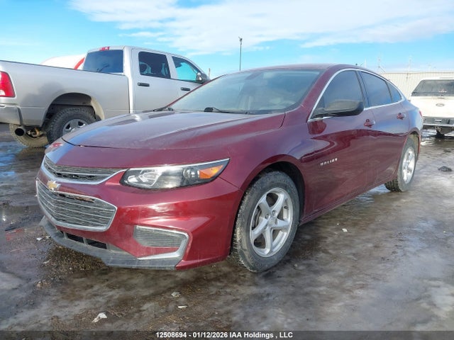 2016 Chevrolet Malibu მანქანა იყიდება აუქციონზე, vin: 1G1ZB5ST3GF191161, აუქციონის ნომერი: 12508694