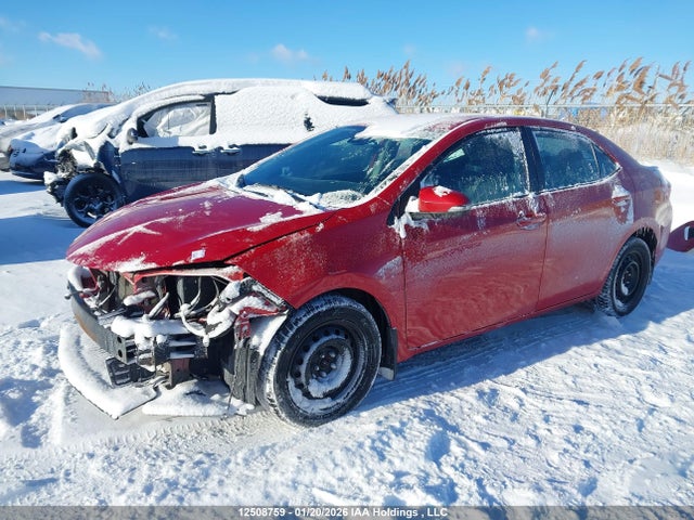 2T1BURHE9JC116466 Toyota COROLLA SE
