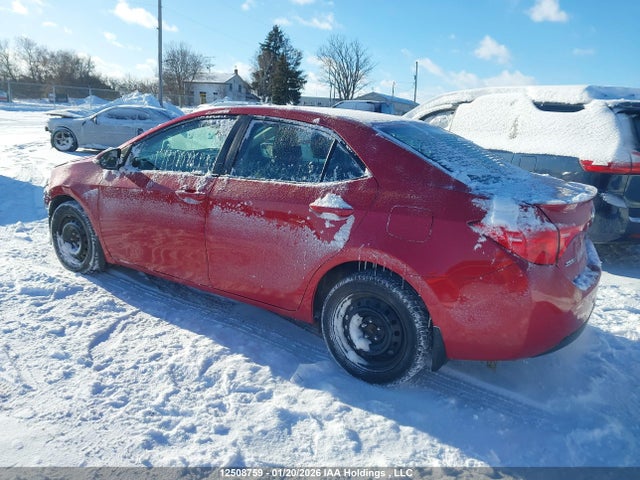 2T1BURHE9JC116466 Toyota COROLLA SE