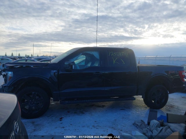 12508791 :رقم المزاد ، 1FTFW1E84PFC41645 vin ، 2023 Ford F-150 Lariat مزاد بيع