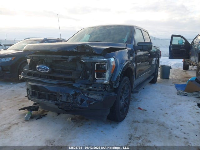 12508791 :رقم المزاد ، 1FTFW1E84PFC41645 vin ، 2023 Ford F-150 Lariat مزاد بيع