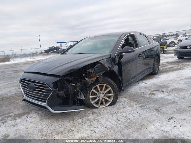 5NPE24AF5JH726483 Hyundai SONATA GL