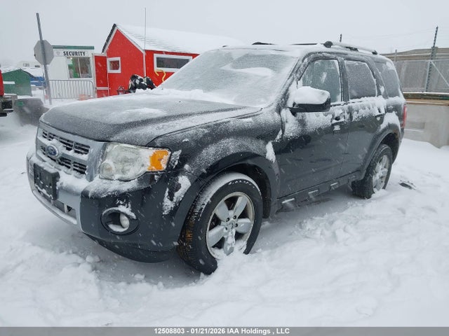 12508803 :رقم المزاد ، 1FMCU9EG7BKC32920 vin ، 2011 Ford Escape Limited مزاد بيع