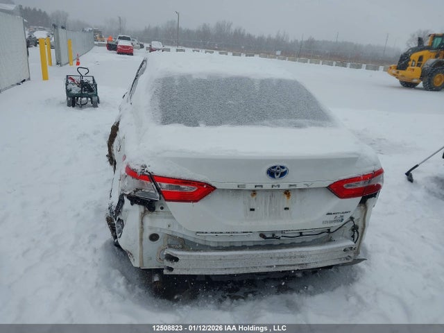 4T1B31HK0JU004132 Toyota Camry Hybrid Le