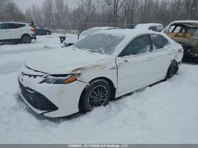 4T1B31HK0JU004132 Toyota Camry Hybrid Le