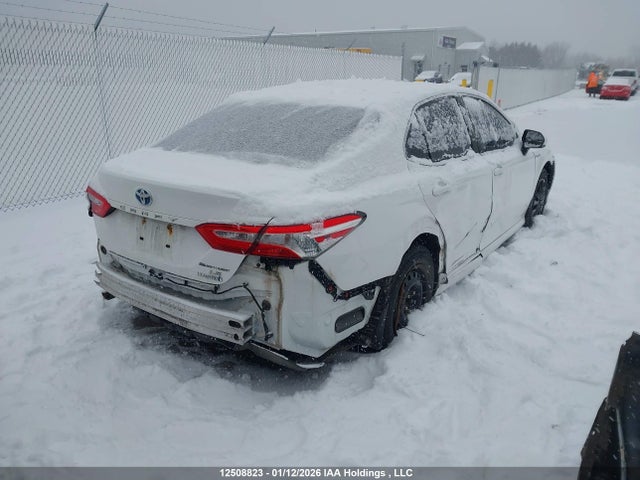 4T1B31HK0JU004132 Toyota Camry Hybrid Le
