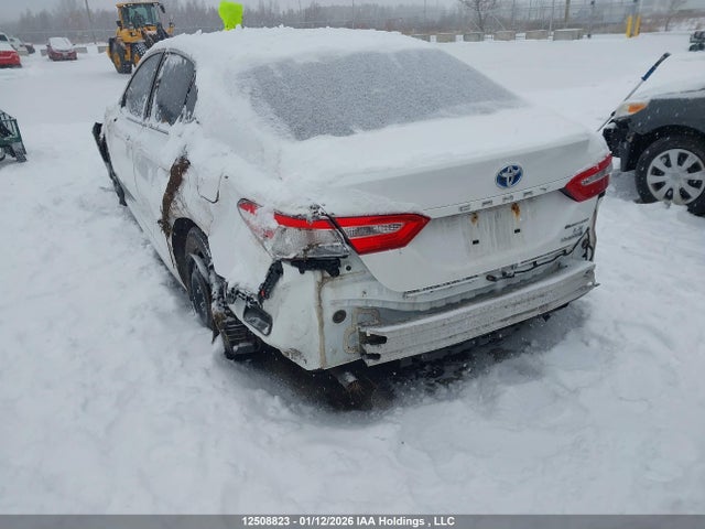 4T1B31HK0JU004132 Toyota Camry Hybrid Le