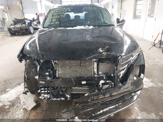 Продажа на аукционе авто 2024 Hyundai Tucson Sel Convenience, vin: KM8JCCD12RU208298, номер лота: 12508928