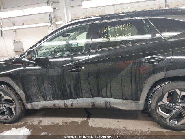 Продажа на аукционе авто 2024 Hyundai Tucson Sel Convenience, vin: KM8JCCD12RU208298, номер лота: 12508928