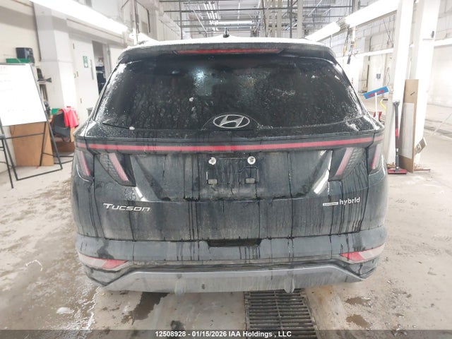 Продажа на аукционе авто 2024 Hyundai Tucson Sel Convenience, vin: KM8JCCD12RU208298, номер лота: 12508928