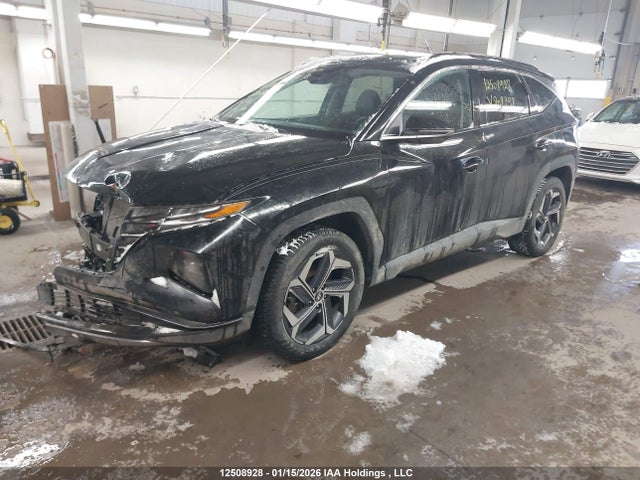 Продажа на аукционе авто 2024 Hyundai Tucson Sel Convenience, vin: KM8JCCD12RU208298, номер лота: 12508928