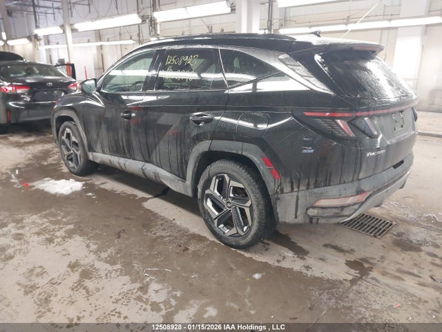 Продажа на аукционе авто 2024 Hyundai Tucson Sel Convenience, vin: KM8JCCD12RU208298, номер лота: 12508928