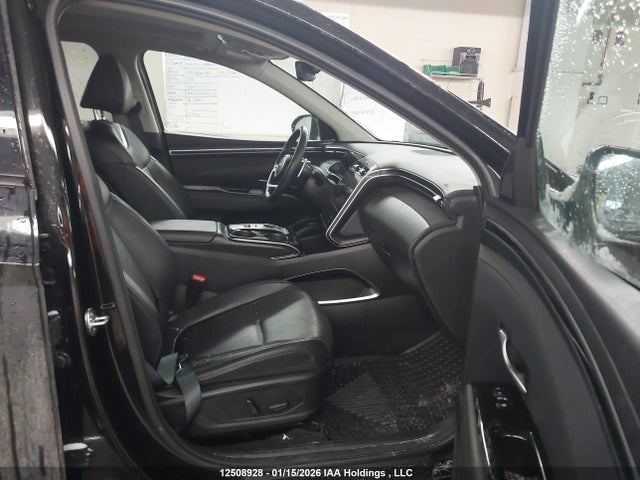 Продажа на аукционе авто 2024 Hyundai Tucson Sel Convenience, vin: KM8JCCD12RU208298, номер лота: 12508928
