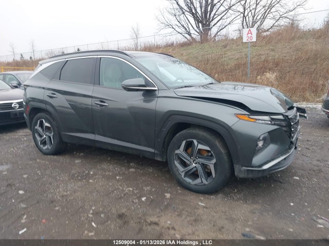 KM8JCCA19NU018691 Hyundai Tucson Ultimate Hybrid Awd