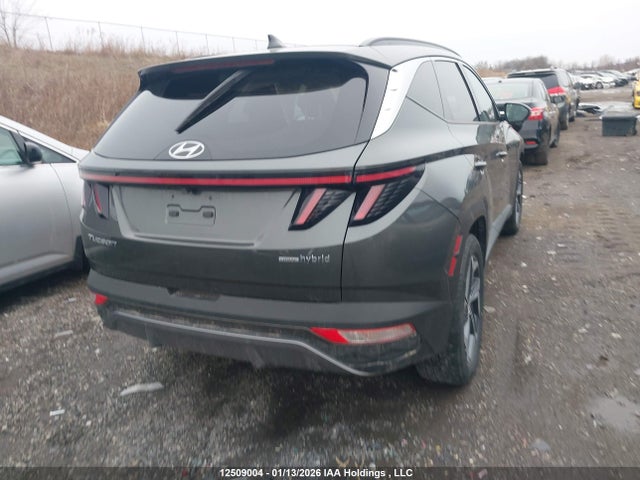 KM8JCCA19NU018691 Hyundai Tucson Ultimate Hybrid Awd