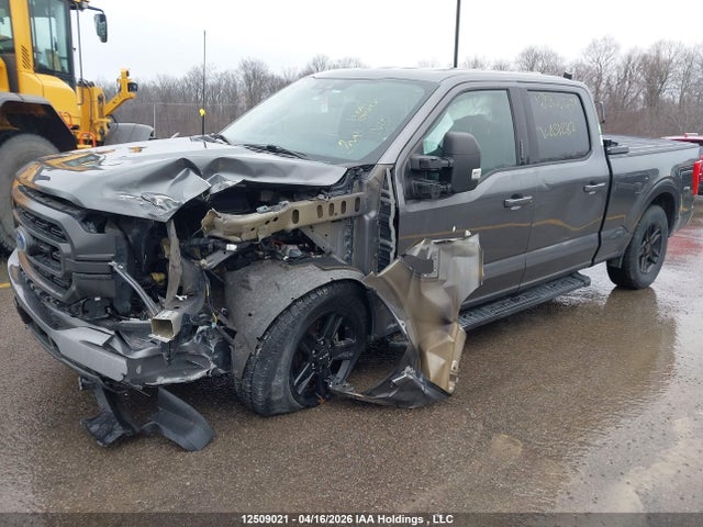 Продажа на аукционе авто 2022 Ford F150 Supercrew, vin: 1FTFW1E52NFA31287, номер лота: 12509021