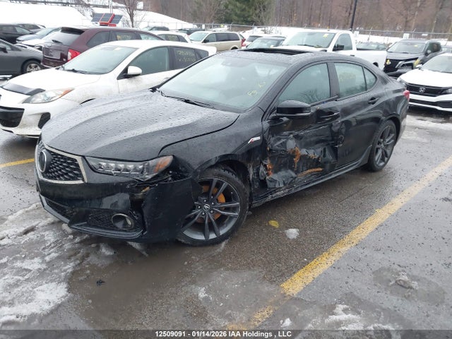 Acura Tlx Technology/a-spec 2020 19UUB1F67LA800503 Image 2