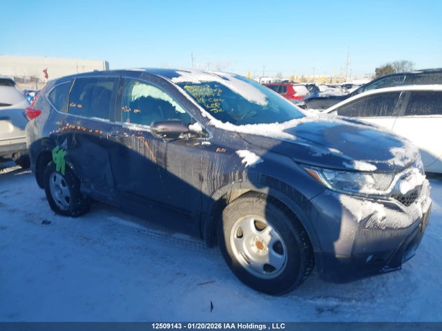 2HKRW2H51KH133843 Honda CR-V EX
