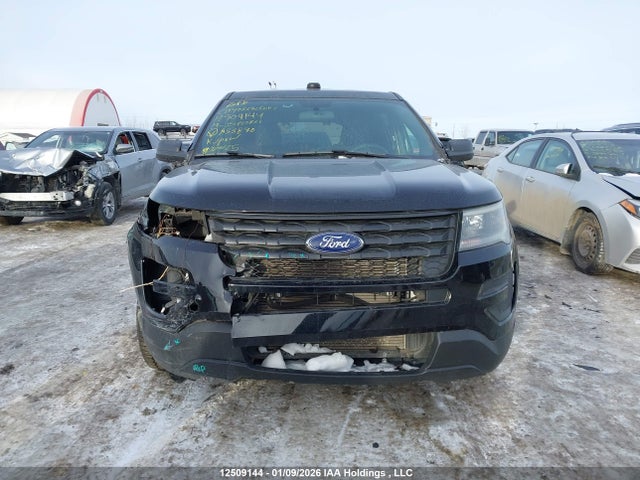 Продаж на аукціоні авто 2019 Ford Explorer Police Interceptor, vin: 1FM5K8AR6KGA53870, номер лоту: 12509144
