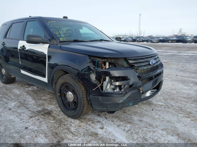 Продаж на аукціоні авто 2019 Ford Explorer Police Interceptor, vin: 1FM5K8AR6KGA53870, номер лоту: 12509144