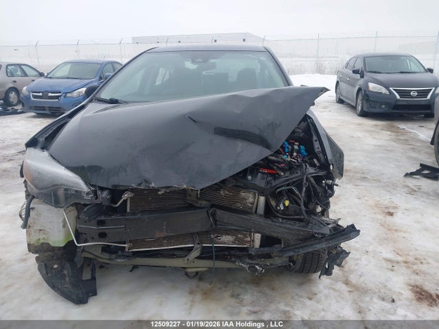 2T1BURHE9HC843858 Toyota Corolla L/le/xle/se/xse