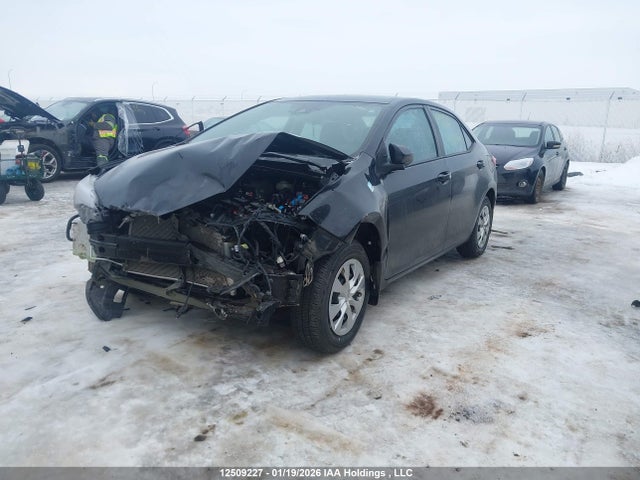 2T1BURHE9HC843858 Toyota Corolla L/le/xle/se/xse