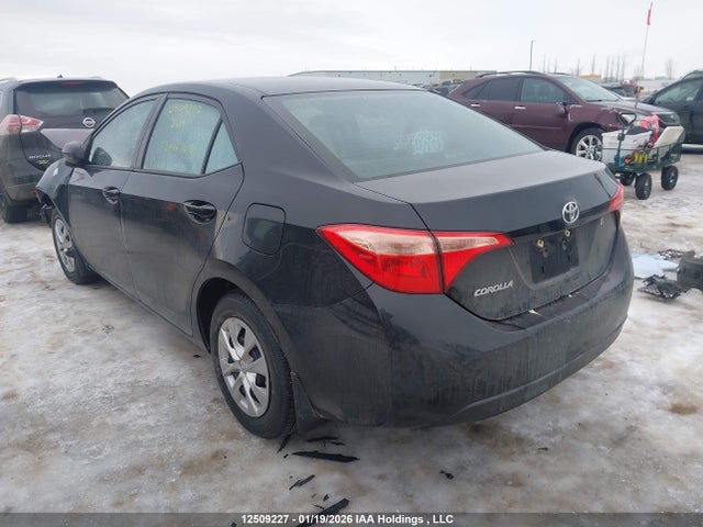 2T1BURHE9HC843858 Toyota Corolla L/le/xle/se/xse