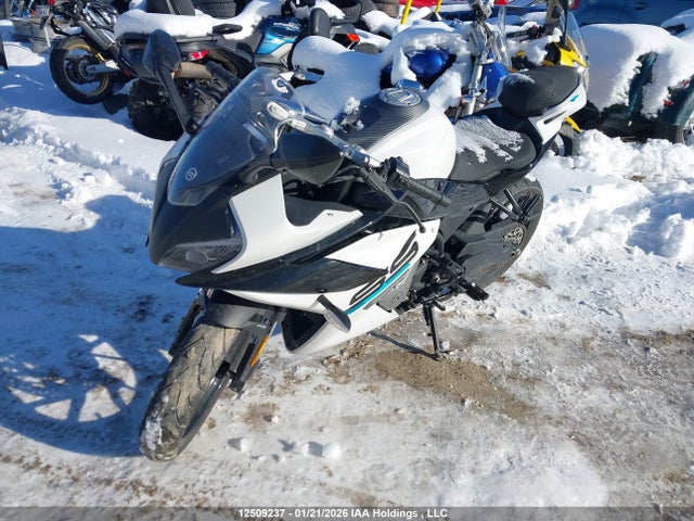 Aukcja sprzedaży 2024 Cf Moto 300ss, vin: LCEPDPL78R6000276, numer aukcji: 12509237