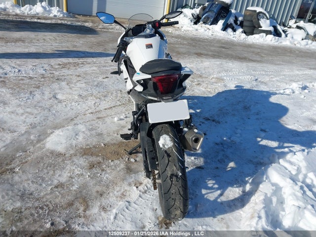 Aukcja sprzedaży 2024 Cf Moto 300ss, vin: LCEPDPL78R6000276, numer aukcji: 12509237