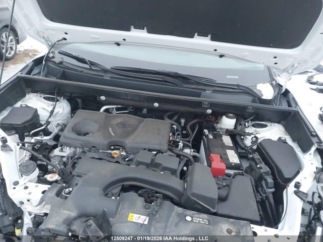 2T3R1RFV8SW517881 Toyota Rav4 Xle/xle Premium