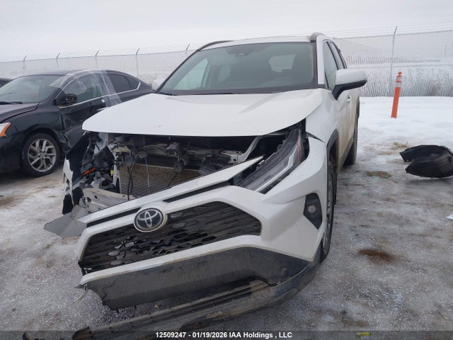 2T3R1RFV8SW517881 Toyota Rav4 Xle/xle Premium