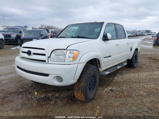 12509269 :رقم المزاد ، 5TBDT48126S524214 vin ، 2006 Toyota Tundra Limited V8 مزاد بيع