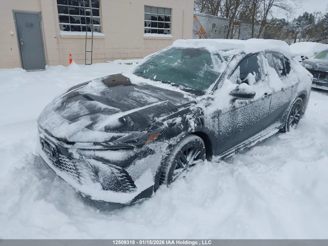 4T1DBADK3SU539863 Toyota Camry Se Upgrade
