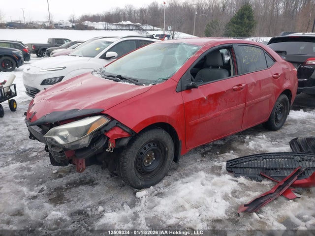 2T1BURHEXFC231181 Toyota Corolla