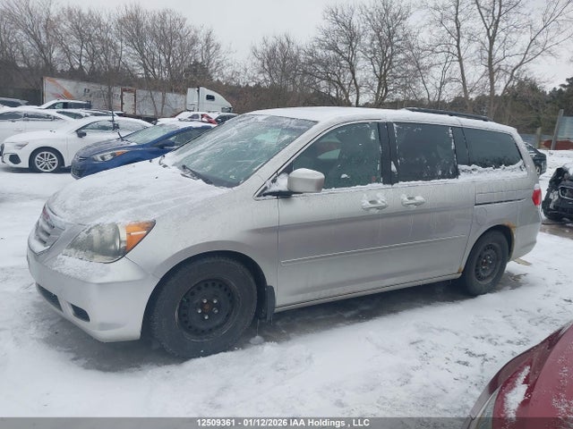 12509361 :رقم المزاد ، 5FNRL38659B500579 vin ، 2009 Honda Odyssey Exl مزاد بيع