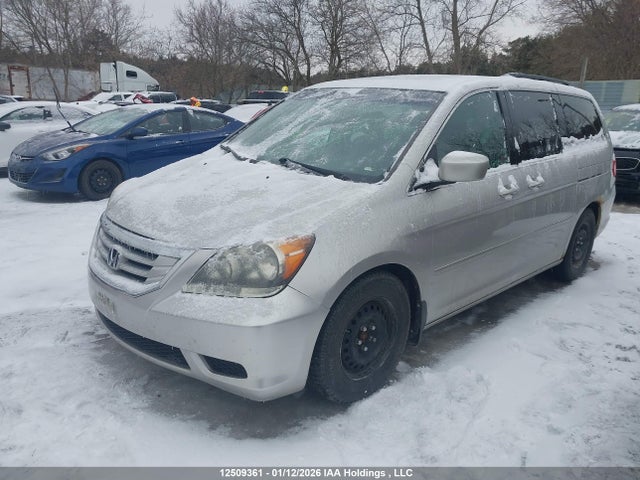 12509361 :رقم المزاد ، 5FNRL38659B500579 vin ، 2009 Honda Odyssey Exl مزاد بيع