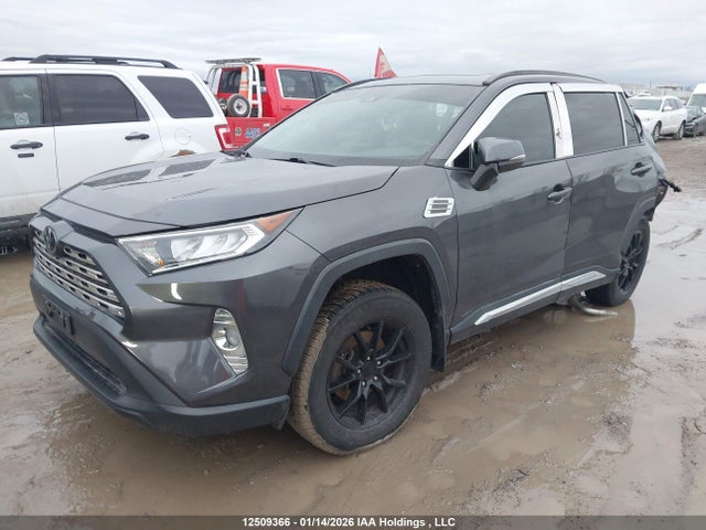 Aukcja sprzedaży 2020 Toyota Rav4, vin: 2T3R1RFV3LW090739, numer aukcji: 12509366