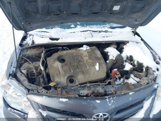 12509451 :رقم المزاد ، 2T1BU4EE3BC579339 vin ، 2011 Toyota Corolla Le مزاد بيع