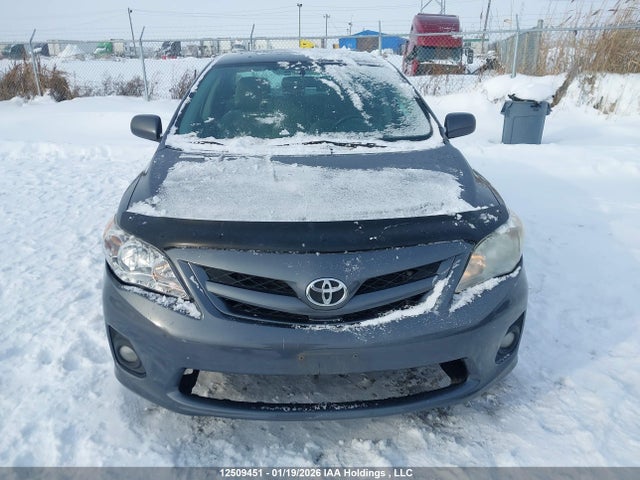 12509451 :رقم المزاد ، 2T1BU4EE3BC579339 vin ، 2011 Toyota Corolla Le مزاد بيع