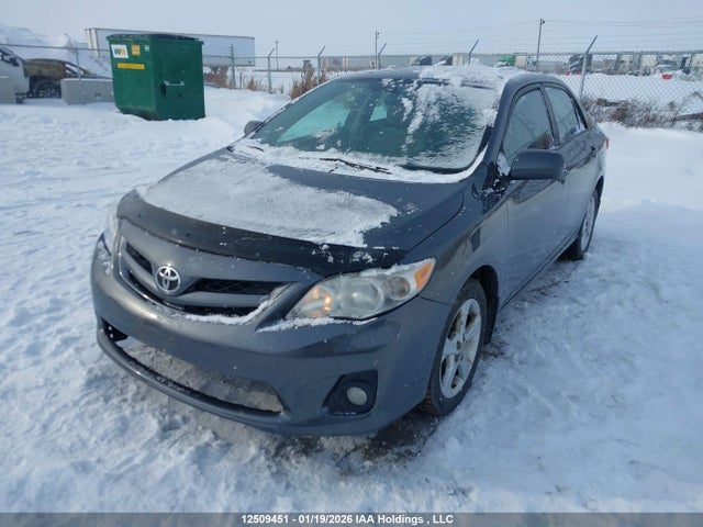 12509451 :رقم المزاد ، 2T1BU4EE3BC579339 vin ، 2011 Toyota Corolla Le مزاد بيع