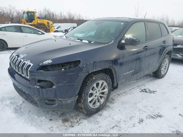 Aukcja sprzedaży 2014 Jeep Cherokee, vin: 1C4PJLAS6EW287748, numer aukcji: 12509560