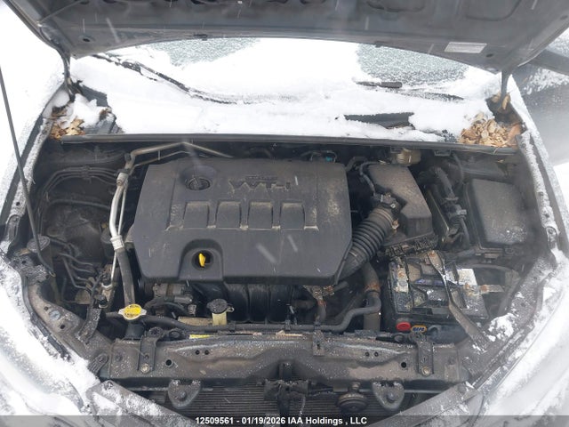 2T1BURHE0GC520636 Toyota Corolla L/le/le Pls/prm/s/s Pls