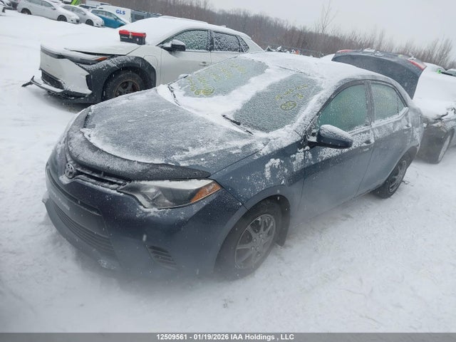 2T1BURHE0GC520636 Toyota Corolla L/le/le Pls/prm/s/s Pls