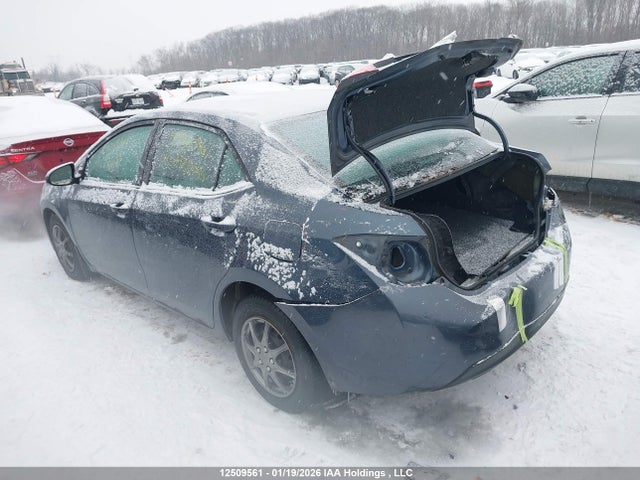 2T1BURHE0GC520636 Toyota Corolla L/le/le Pls/prm/s/s Pls